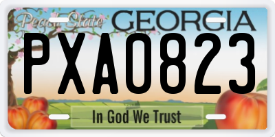 GA license plate PXA0823