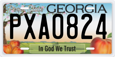 GA license plate PXA0824
