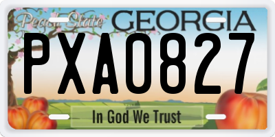 GA license plate PXA0827