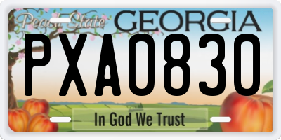 GA license plate PXA0830