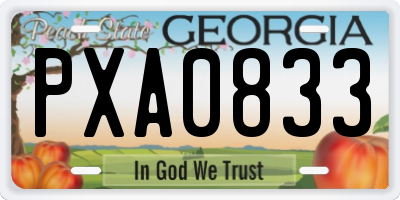 GA license plate PXA0833