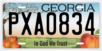 GA license plate PXA0834