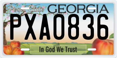 GA license plate PXA0836