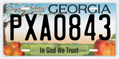GA license plate PXA0843