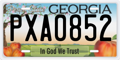 GA license plate PXA0852