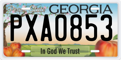 GA license plate PXA0853