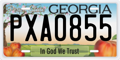 GA license plate PXA0855