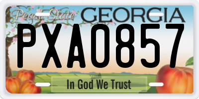 GA license plate PXA0857