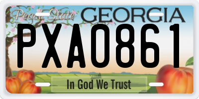GA license plate PXA0861