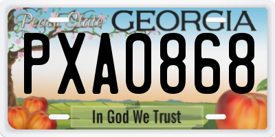 GA license plate PXA0868