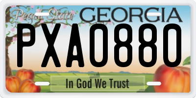 GA license plate PXA0880