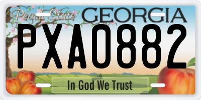 GA license plate PXA0882