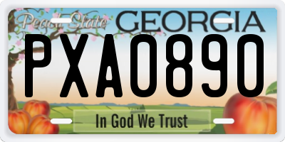 GA license plate PXA0890
