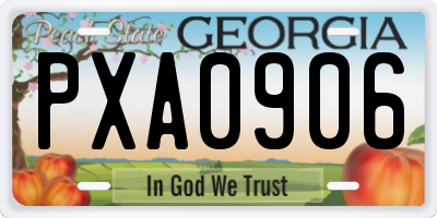 GA license plate PXA0906