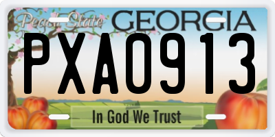 GA license plate PXA0913