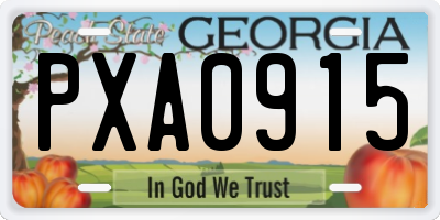 GA license plate PXA0915