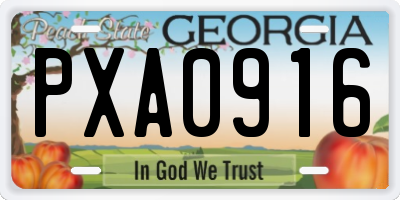 GA license plate PXA0916