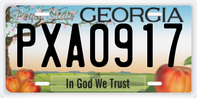 GA license plate PXA0917