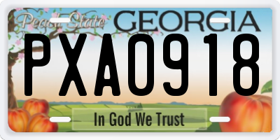 GA license plate PXA0918