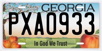 GA license plate PXA0933