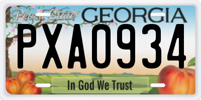 GA license plate PXA0934