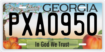 GA license plate PXA0950