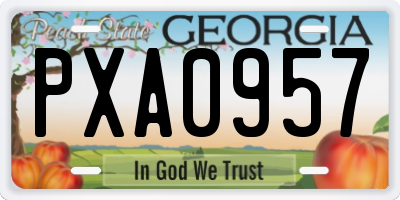 GA license plate PXA0957