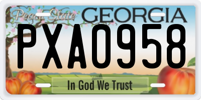 GA license plate PXA0958
