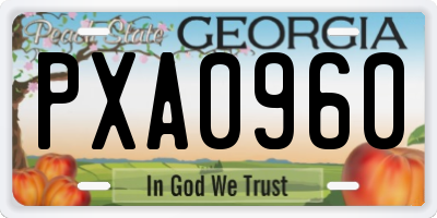 GA license plate PXA0960
