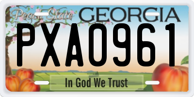 GA license plate PXA0961