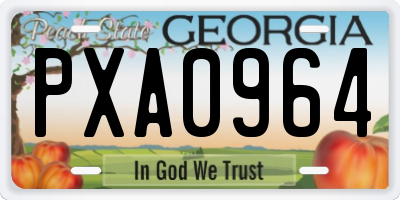 GA license plate PXA0964