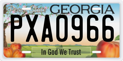 GA license plate PXA0966