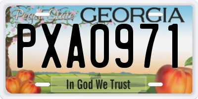 GA license plate PXA0971