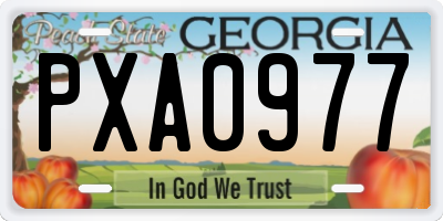 GA license plate PXA0977