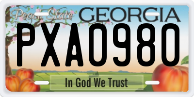 GA license plate PXA0980