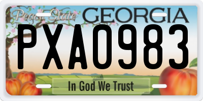 GA license plate PXA0983