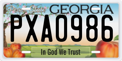 GA license plate PXA0986