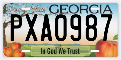 GA license plate PXA0987