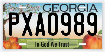 GA license plate PXA0989