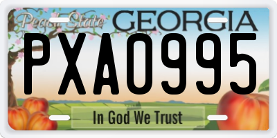 GA license plate PXA0995