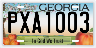 GA license plate PXA1003