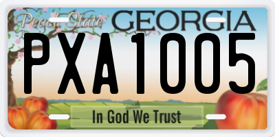 GA license plate PXA1005