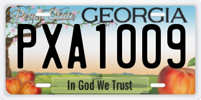 GA license plate PXA1009