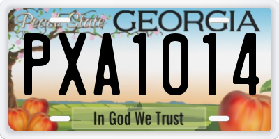 GA license plate PXA1014