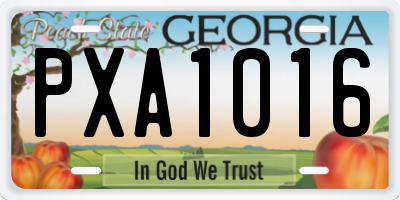 GA license plate PXA1016