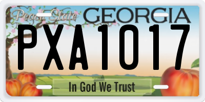 GA license plate PXA1017
