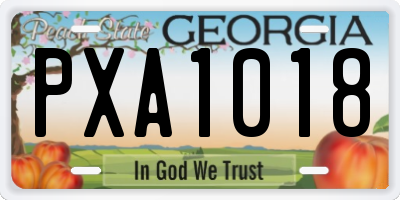 GA license plate PXA1018