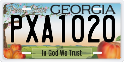 GA license plate PXA1020
