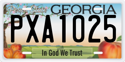 GA license plate PXA1025