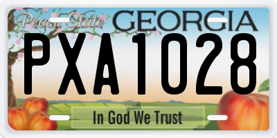 GA license plate PXA1028